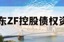 山东ZF控股债权资产