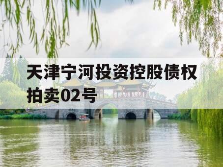 天津宁河投资控股债权拍卖02号
