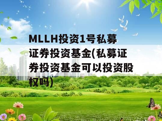 MLLH投资1号私募证券投资基金(私募证券投资基金可以投资股权吗)