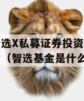 智选X私募证券投资基金（智选基金是什么）
