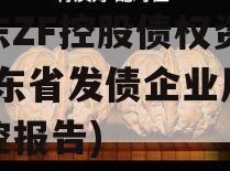 山东ZF控股债权资产(山东省发债企业风险监控报告)