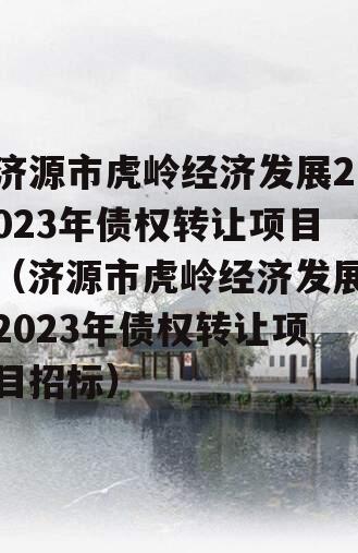 济源市虎岭经济发展2023年债权转让项目（济源市虎岭经济发展2023年债权转让项目招标）
