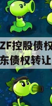 山东ZF控股债权资产（山东债权转让）
