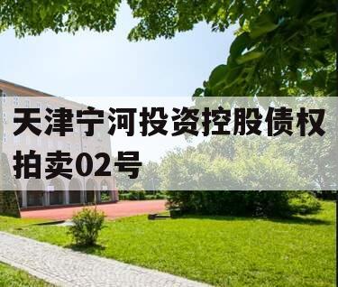 天津宁河投资控股债权拍卖02号