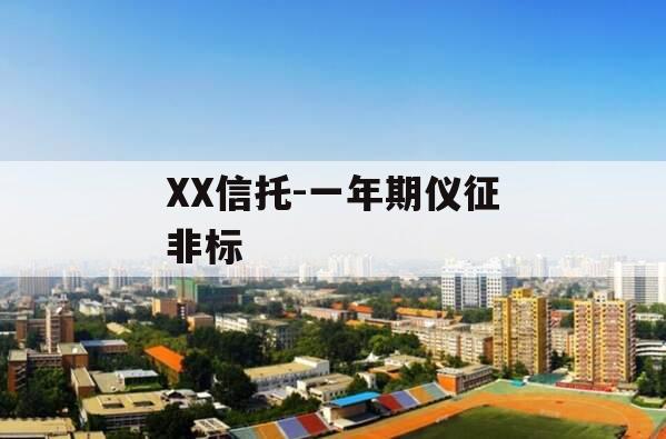 XX信托-一年期仪征非标