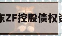 山东ZF控股债权资产