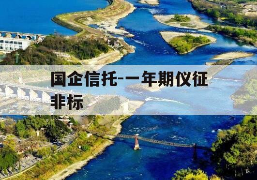 国企信托-一年期仪征非标