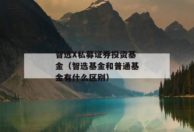 智选X私募证券投资基金（智选基金和普通基金有什么区别）