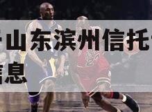 关于山东滨州信托计划的信息