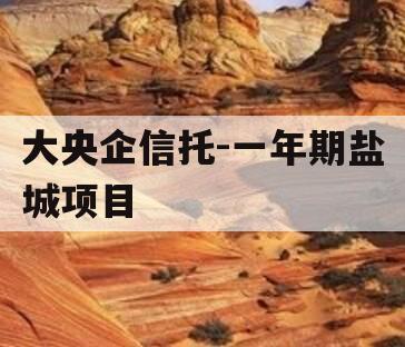 大央企信托-一年期盐城项目