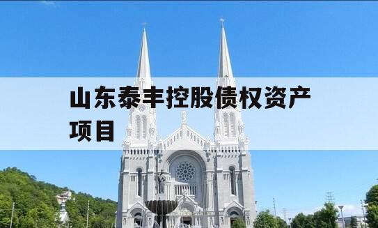 山东泰丰控股债权资产项目