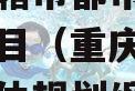重庆直辖市都市主城区首发项目（重庆都市区城市总体规划纲要）