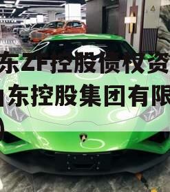 山东ZF控股债权资产(山东控股集团有限公司)