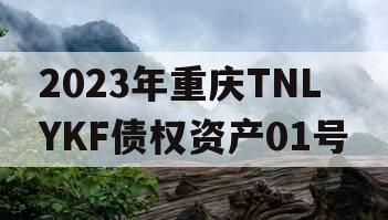 2023年重庆TNLYKF债权资产01号