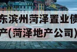 山东滨州菏泽置业债权资产(菏泽地产公司)