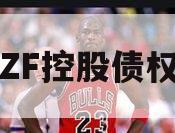 山东ZF控股债权资产