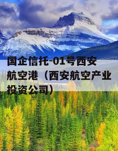 国企信托-01号西安航空港（西安航空产业投资公司）