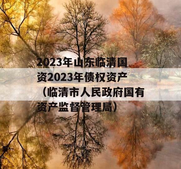 2023年山东临清国资2023年债权资产（临清市人民政府国有资产监督管理局）