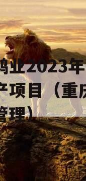 重庆鸿业2023年债权资产项目（重庆鸿业资产管理）