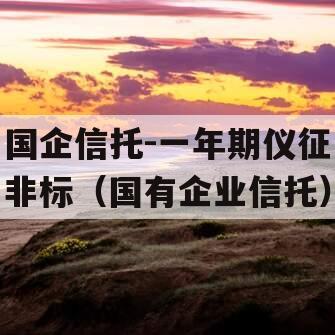 国企信托-一年期仪征非标（国有企业信托）