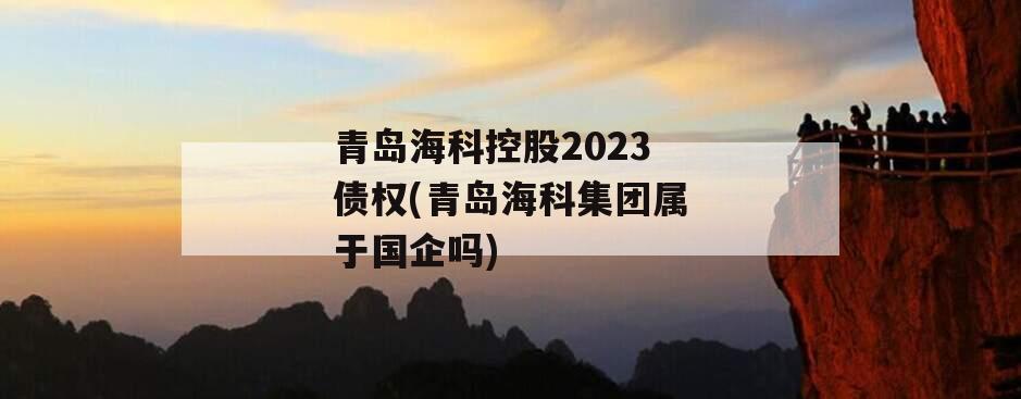 青岛海科控股2023债权(青岛海科集团属于国企吗)