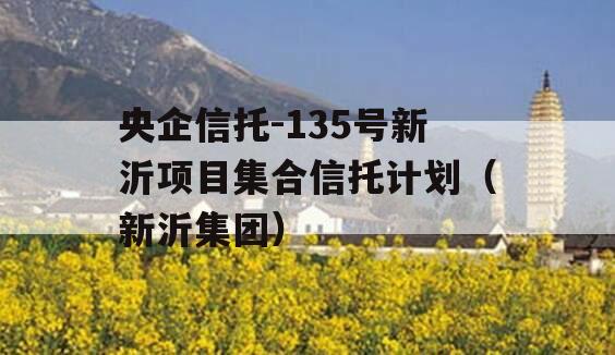 央企信托-135号新沂项目集合信托计划（新沂集团）