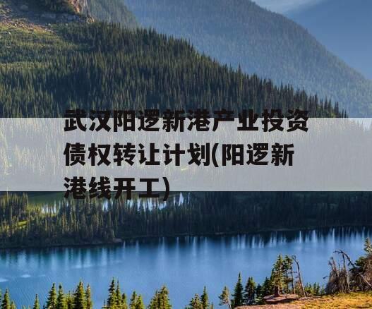 武汉阳逻新港产业投资债权转让计划(阳逻新港线开工)