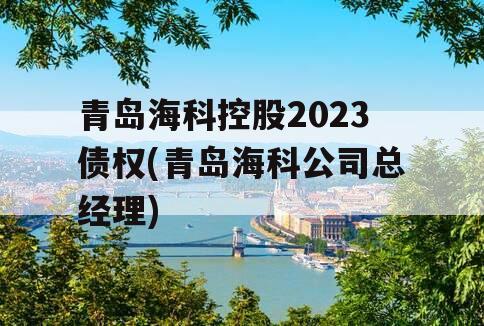青岛海科控股2023债权(青岛海科公司总经理)