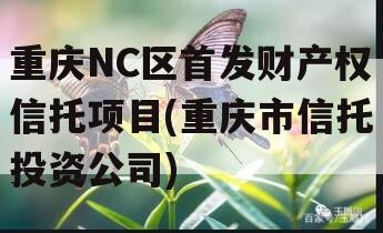 重庆NC区首发财产权信托项目(重庆市信托投资公司)