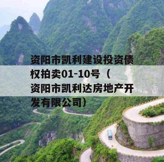 资阳市凯利建设投资债权拍卖01-10号（资阳市凯利达房地产开发有限公司）