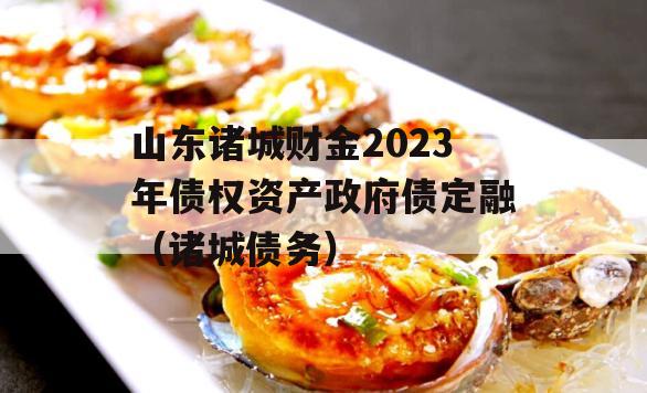 山东诸城财金2023年债权资产政府债定融（诸城债务）
