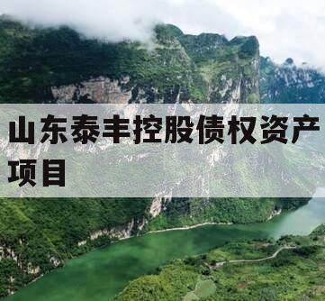 山东泰丰控股债权资产项目