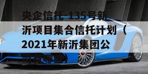 央企信托-135号新沂项目集合信托计划（2021年新沂集团公司有哪些）