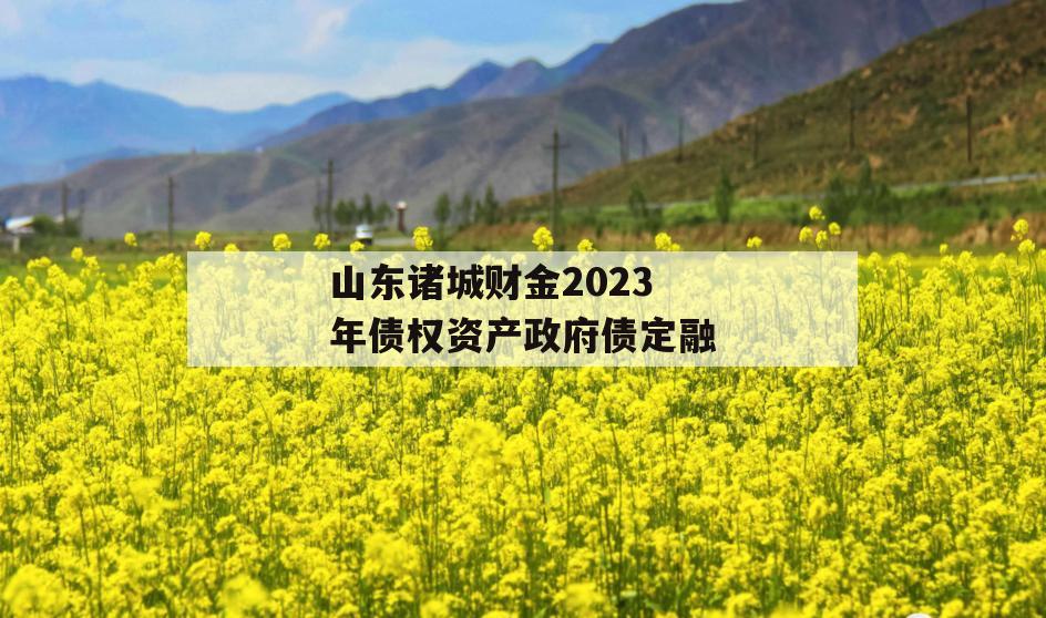 山东诸城财金2023年债权资产政府债定融