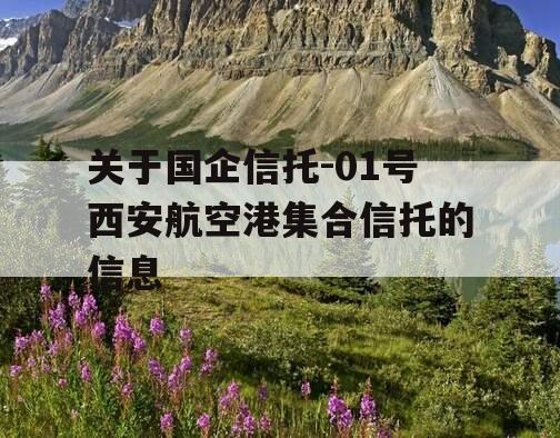 关于国企信托-01号西安航空港集合信托的信息