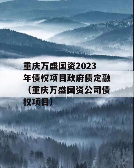 重庆万盛国资2023年债权项目政府债定融（重庆万盛国资公司债权项目）