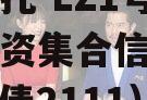 国企信托-LZ1号城投债投资集合信托计划（城投债2111）