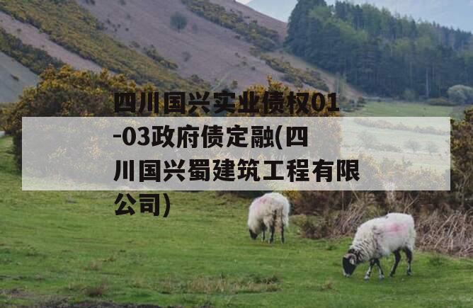四川国兴实业债权01-03政府债定融(四川国兴蜀建筑工程有限公司)