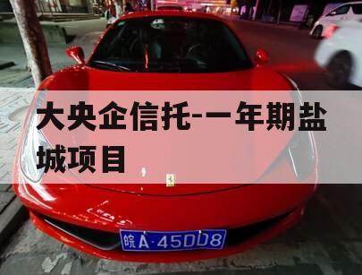大央企信托-一年期盐城项目