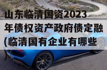 山东临清国资2023年债权资产政府债定融(临清国有企业有哪些)