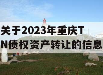 关于2023年重庆TN债权资产转让的信息