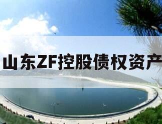 山东ZF控股债权资产