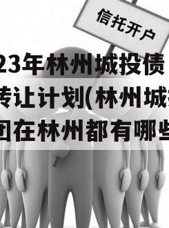 2023年林州城投债权转让计划(林州城投集团在林州都有哪些项目)