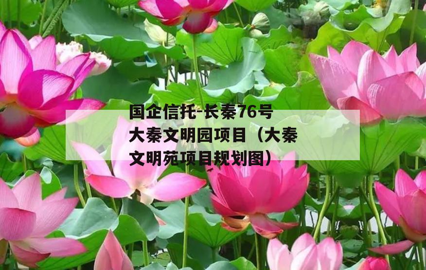 国企信托-长秦76号大秦文明园项目（大秦文明苑项目规划图）