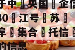关于中‮央国‬企信托-130‮江号‬苏‮宁阜‬集合‮托信‬计划的信息