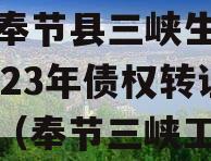 重庆奉节县三峡生态发展2023年债权转让项目（奉节三峡工程）