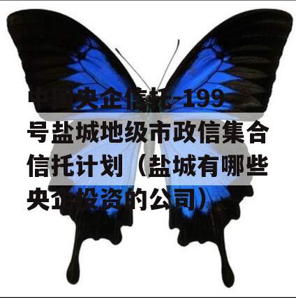 中国央企信托-199号盐城地级市政信集合信托计划（盐城有哪些央企投资的公司）