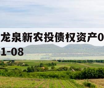 龙泉新农投债权资产01-08