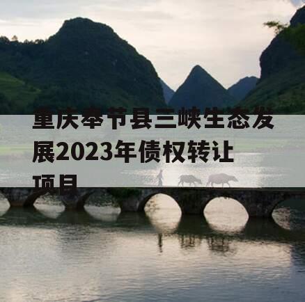 重庆奉节县三峡生态发展2023年债权转让项目