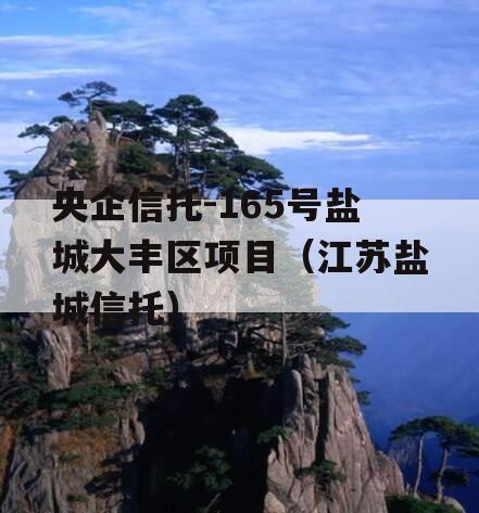 央企信托-165号盐城大丰区项目（江苏盐城信托）